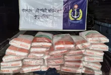 কুতুবদিয়ায় যা ঘটল রাতে! পাচারকালে বিপুল সিমেন্টসহ ধরা পড়ল ট্রলার