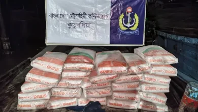 কুতুবদিয়ায় যা ঘটল রাতে! পাচারকালে বিপুল সিমেন্টসহ ধরা পড়ল ট্রলার