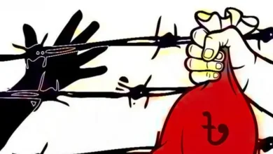 বিদেশে পাচার হওয়া হাজার হাজার কোটি টাকা ফেরানোর নির্দেশ! ব্যাংক খাতে আসছে বড় পরিবর্তন?