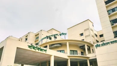 কুষ্টিয়ায় এক রাতে ২ শিশুর মৃত্যু! হামের উপসর্গ না অন্য কিছু?