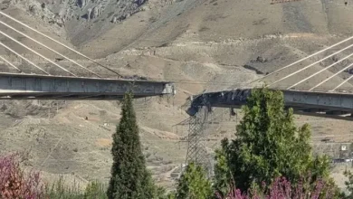 মধ্যপ্রাচ্যের সর্বোচ্চ সেতুতে হামলা! ৮ জনের মৃত্যু, আহত ৯৫