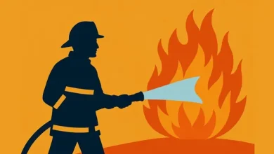 ফতুল্লায় জুটের গুদামে ভয়াবহ আগুন, ২০ লাখ টাকার ক্ষতি! যা ঘটল রাতে…