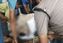 পুকুরে ভাসমান লাশ! মাথা ও চোখে আঘাত, চট্টগ্রামে চাঞ্চল্য