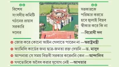 সংসদে তোলপাড়! সংবিধান সংস্কার নিয়ে তুমুল বিতর্কে জড়িয়ে পড়ল সরকার-বিরোধী!
