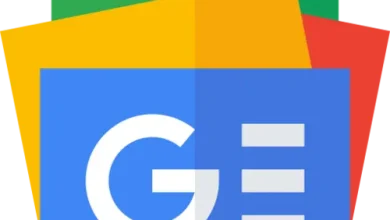 পেঁয়াজ মাচায় চাপ পড়ে মৃত্যু! যা ঘটল সবার চোখের সামনে