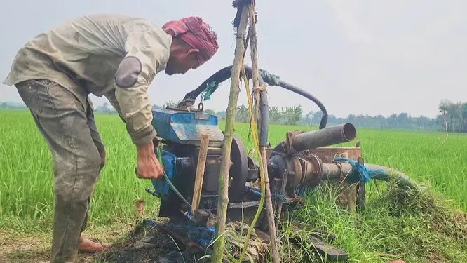 জ্বালানি নেই, বোরো ধান নিয়ে বিপাকে কৃষক! যা হচ্ছে রামগঞ্জে?