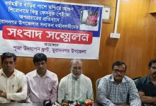 পাঁচ বছরে ২৫ কোটি গাছ! চাঁপাইনবাবগঞ্জে যা শুরু করল সড়ক বিভাগ