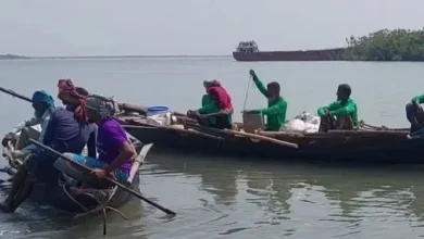 বনদস্যু আতঙ্ক! ১৪ দিনের জন্য জীবনের ঝুঁকি নিয়ে সুন্দরবনে মধু আহরণ শুরু