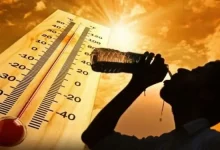 🚨 দেশজুড়ে তীব্র তাপের দাপট! যা ঘটল রাতে... আপনি কি জানেন?