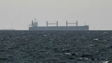 ৪০ দেশের জোট কি পারবে হরমুজ প্রণালী খুলতে? চাঞ্চল্যকর তথ্য ফাঁস!