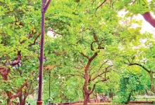 বসন্তে পারলৌকিক জীবনের ডাক! যা জানলে চমকে উঠবেন