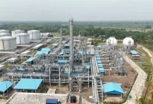 পেট্রোল-অকটেন দেশেও হয়, কিন্তু কেন পান না সাধারণ মানুষ? রহস্য জানলে চমকে যাবেন!