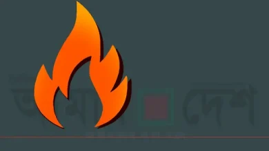 শ্যামপুরে স্টিল মিলে ভয়াবহ আগুন! দগ্ধ ৮, যা ঘটল সকালে