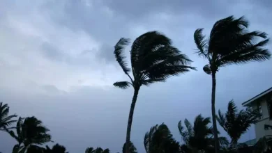 হঠাৎ দেশজুড়ে ঝড়-বৃষ্টির পূর্বাভাস! যা হতে চলেছে বিস্তারিত